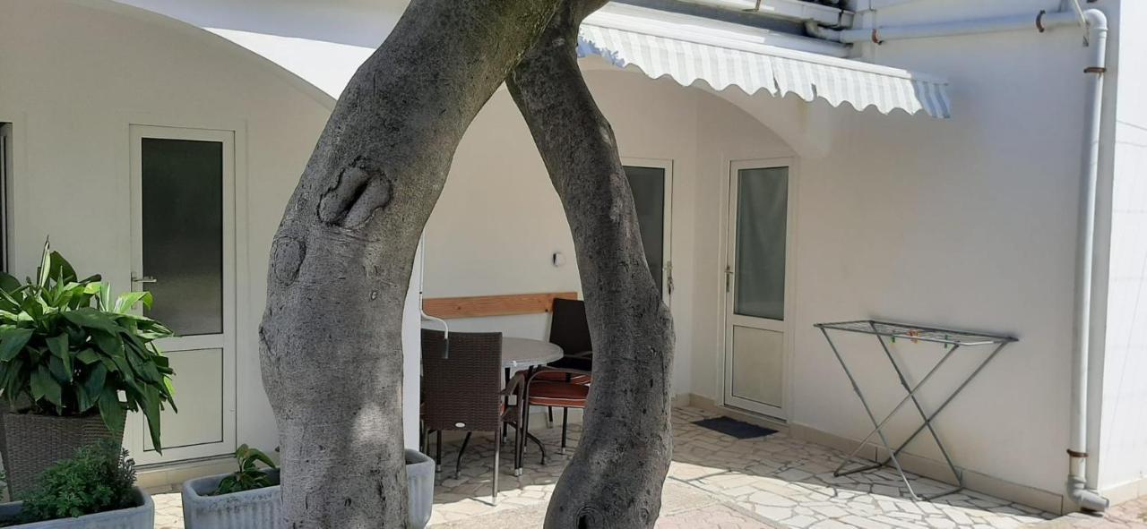 Rooms & Apartments Kaurloto باغ المظهر الخارجي الصورة